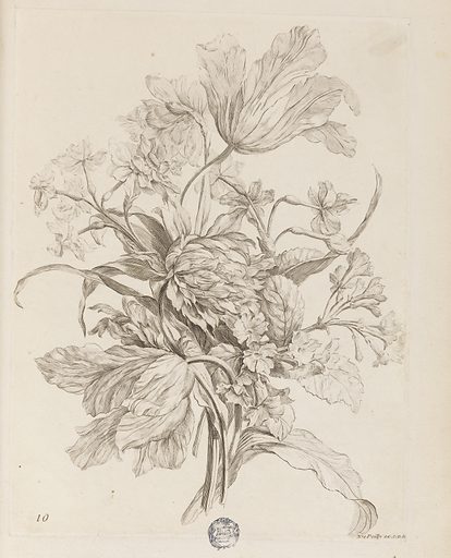 Les 38 Fleurs de Bach ych038234 017 plate from le livre de toutes sortes de fleurs daprès nature