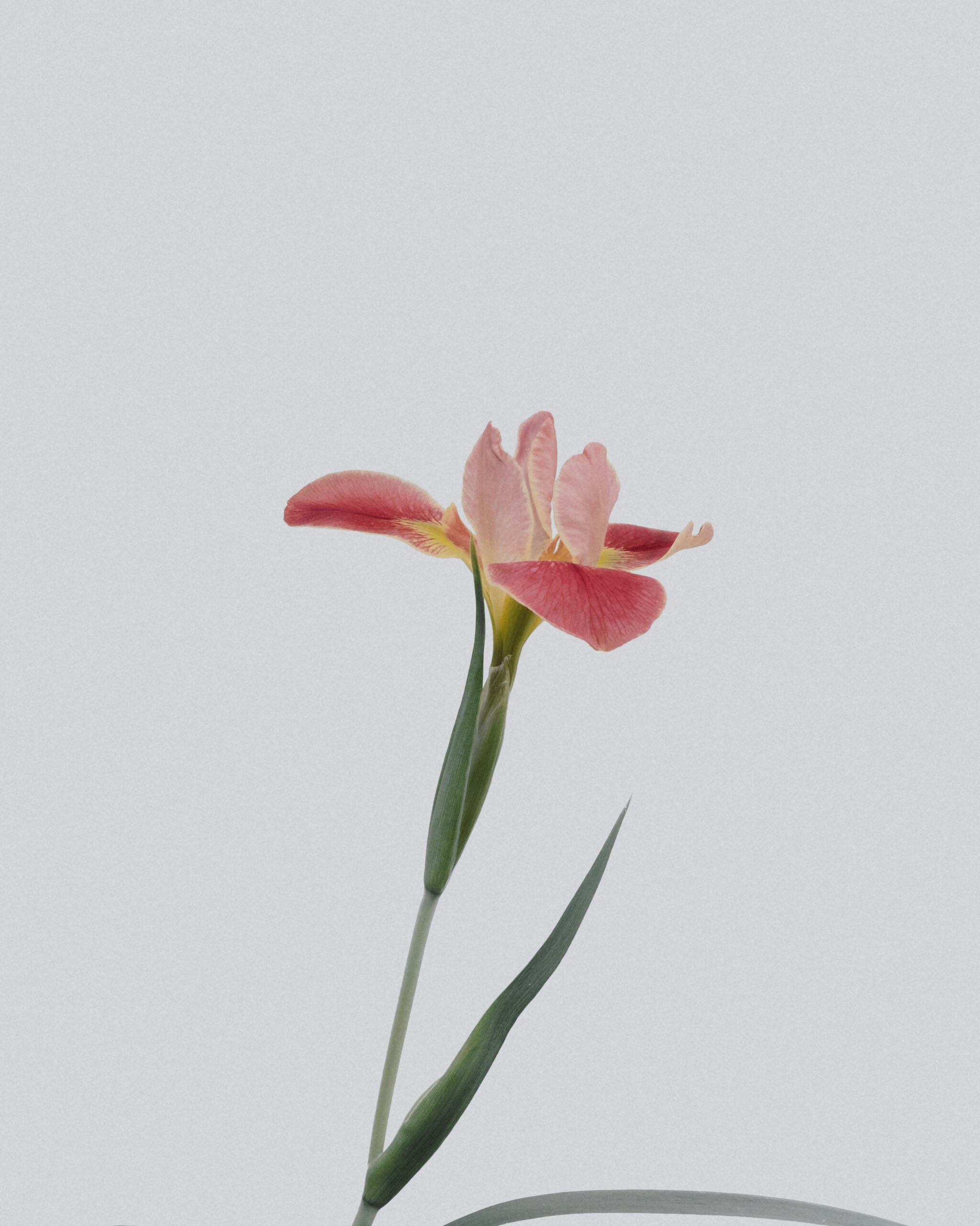 Votre entretien han chenxu ydaqiukuowa unsplash